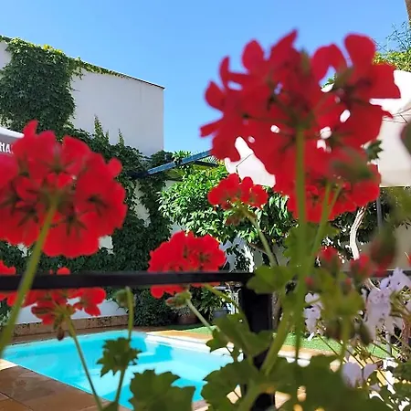 山林小屋 Comares 格拉纳达